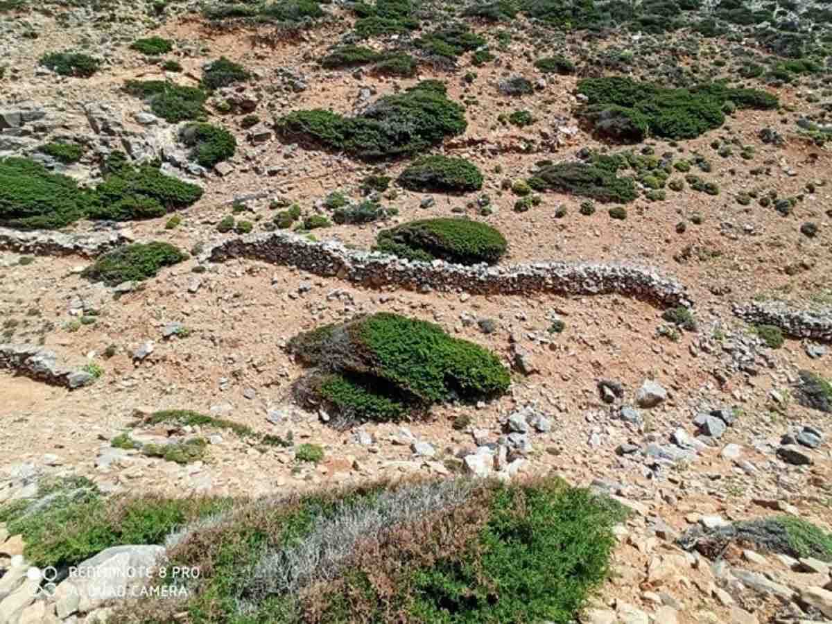 παραλίες της Αμοργού